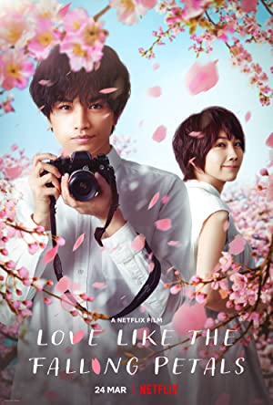 My Dearest, Like a Cherry Blossom